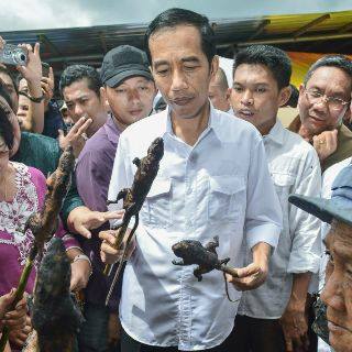 Manuver Walikota serta Foto Jokowi dan Tikus Ekor Putih, Efek Kemendag Bantu Tomohon